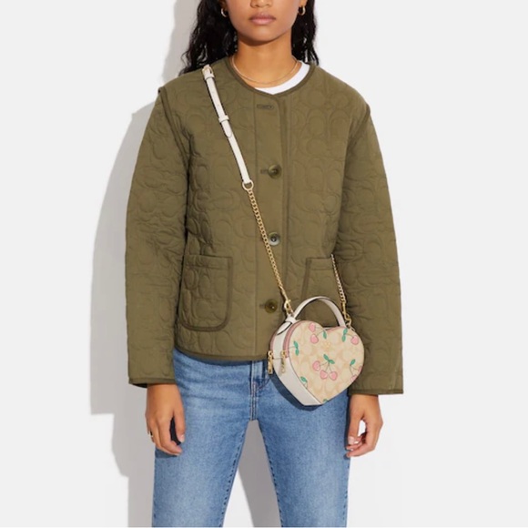 NWT Coach Heart Crossbody In Signature Canvas With Heart Cherry Print - Picture 11 of 13
